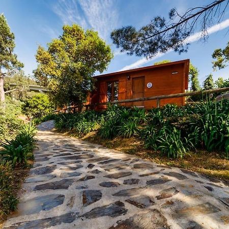 Gasthaus Arrabia Bunga Payva Raiva Exterior foto