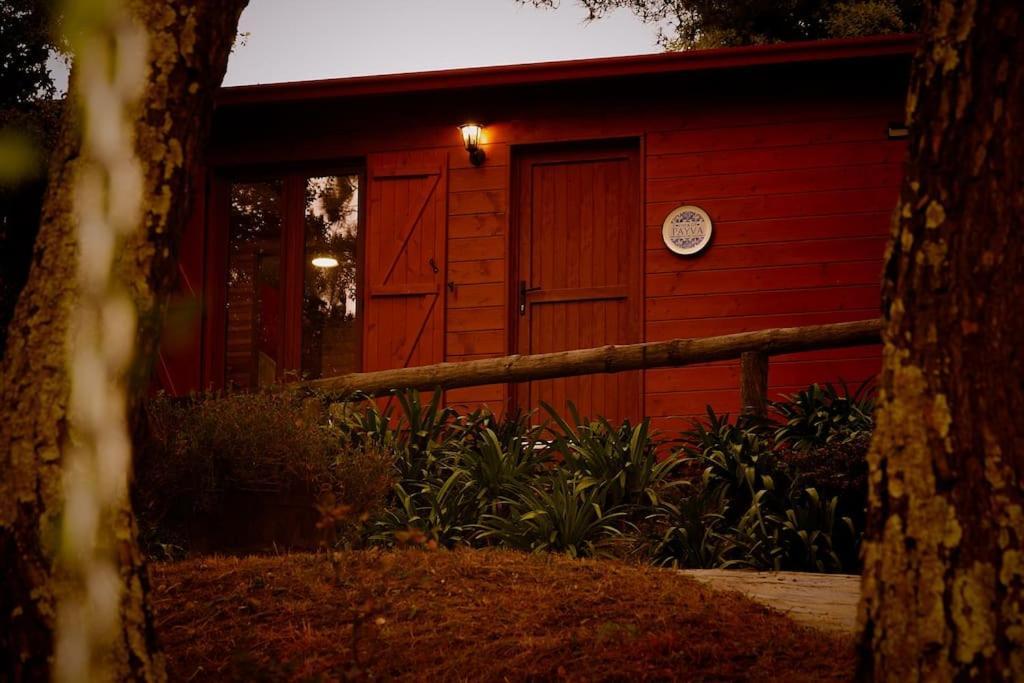 Gasthaus Arrabia Bunga Payva Raiva Exterior foto