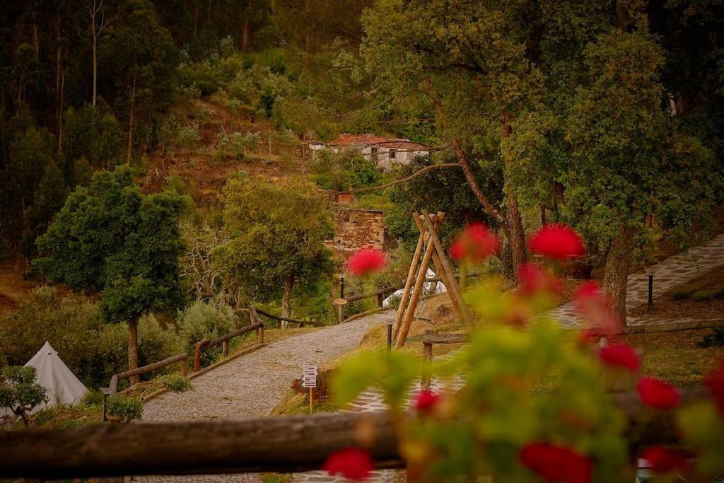 Gasthaus Arrabia Bunga Payva Raiva Exterior foto
