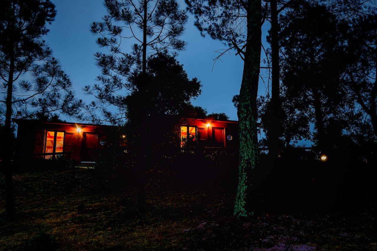 Gasthaus Arrabia Bunga Payva Raiva Exterior foto